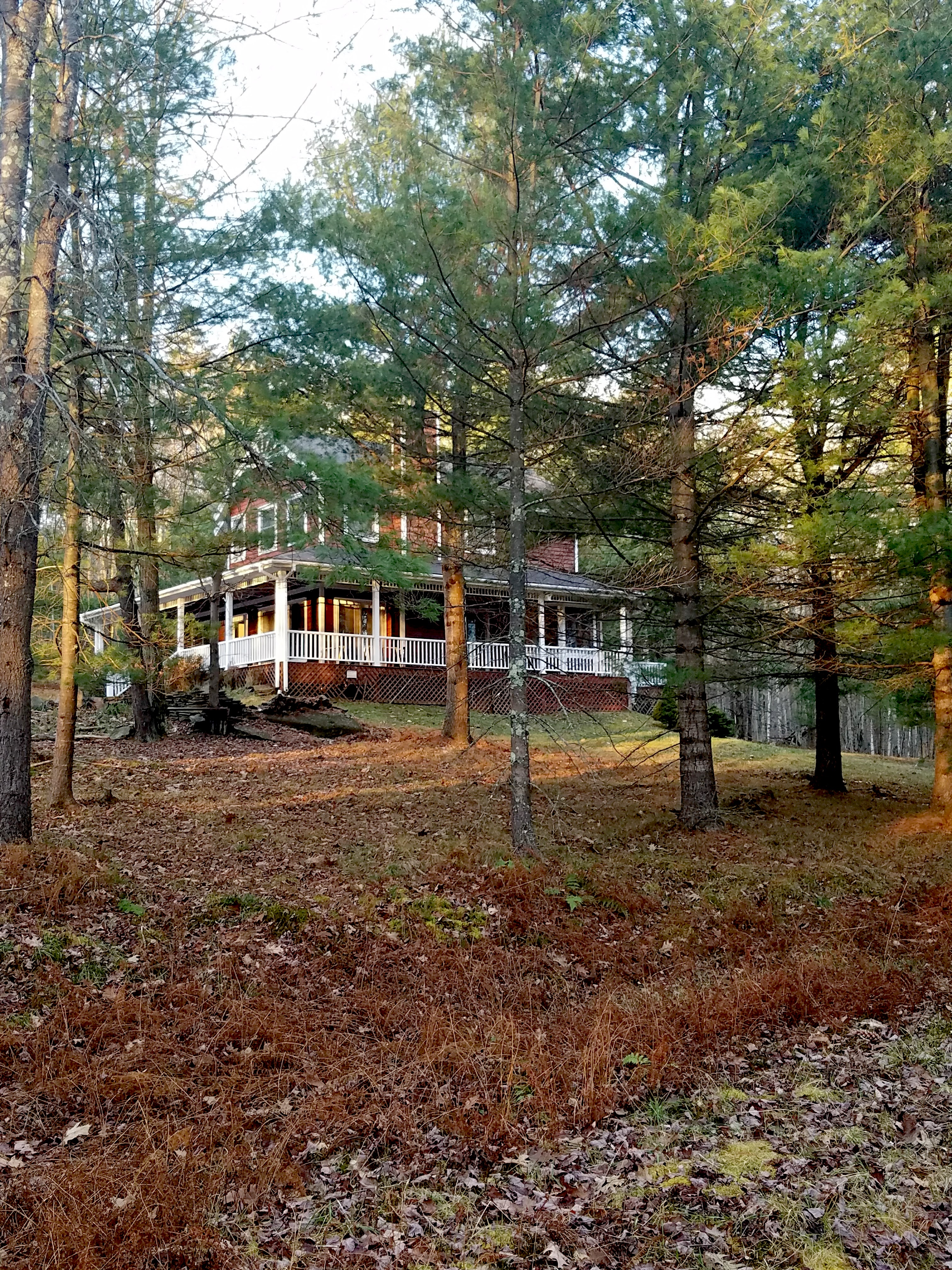 Home