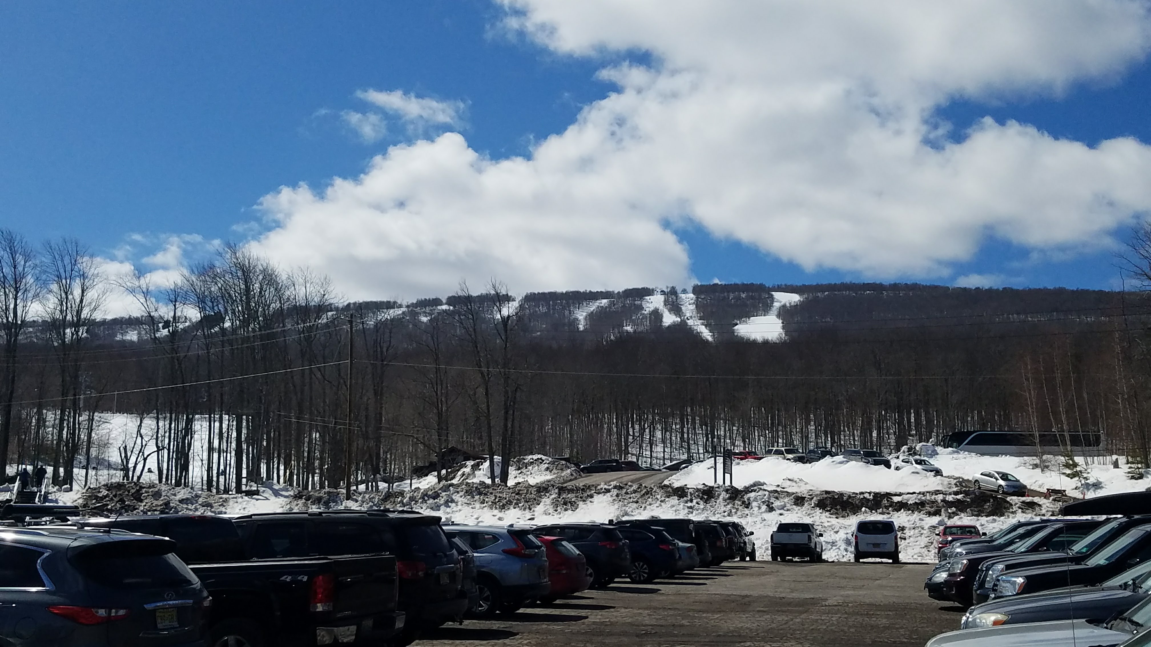 Ski