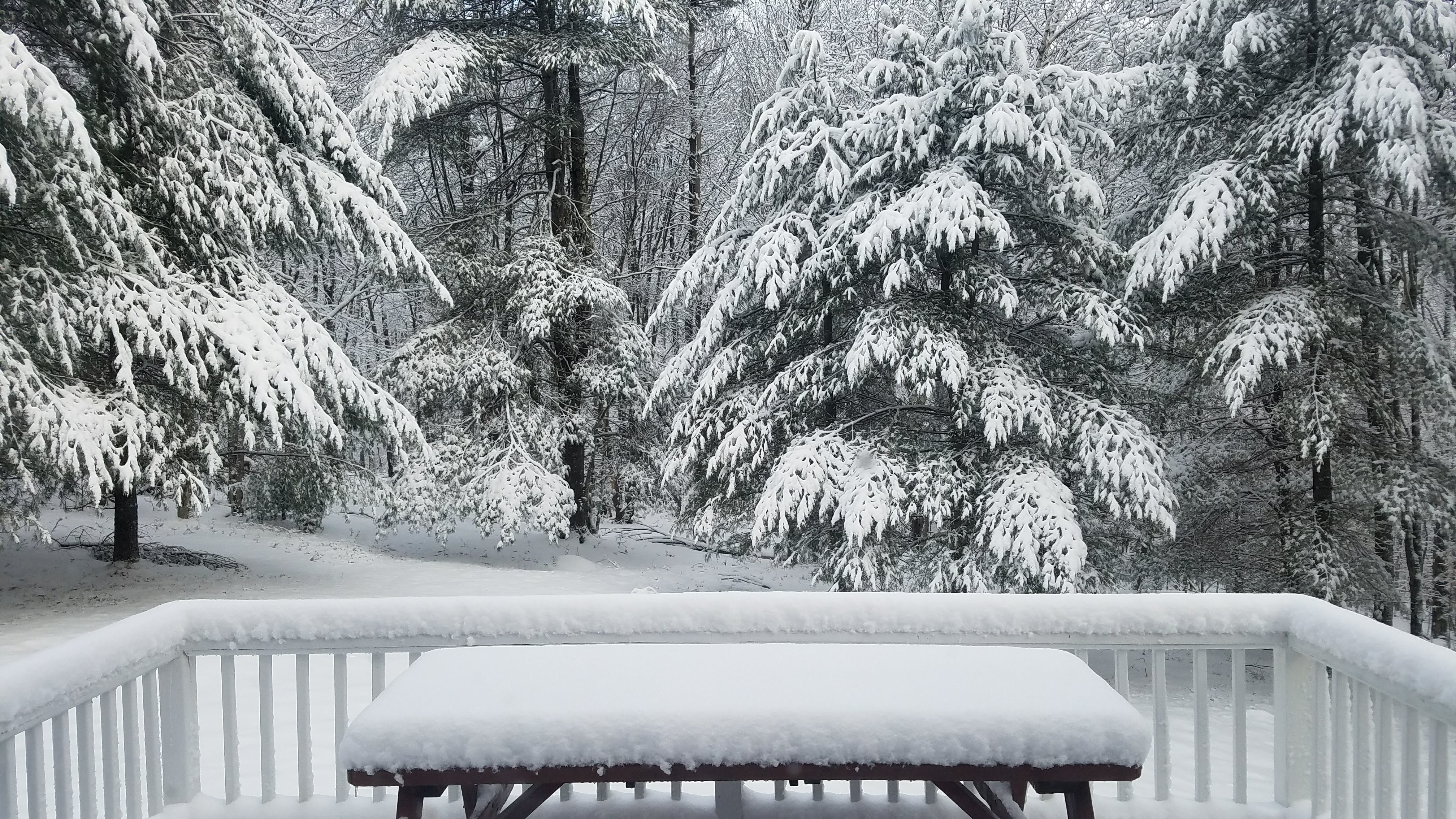 Bench with snow