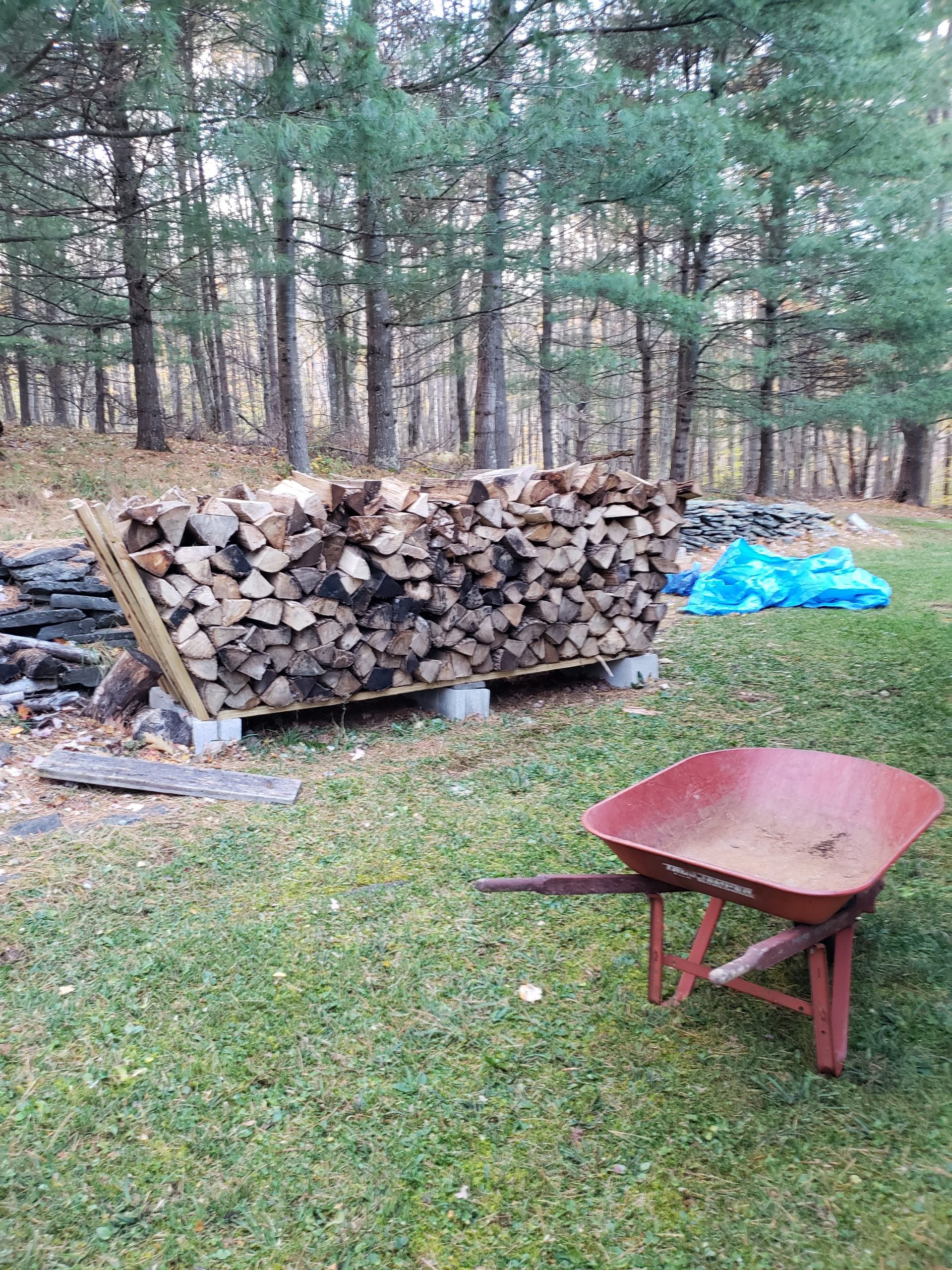 Wood pile